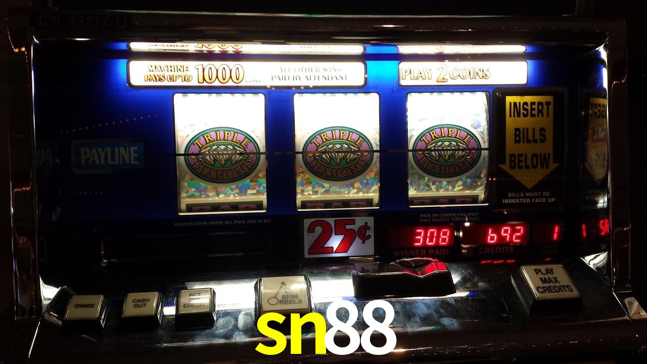 VIP Casino sn88